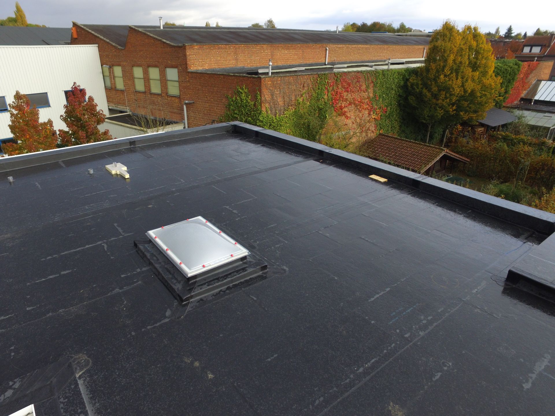 How Long Does a Flat Roof Last? Lifespan, Factors, and Tips