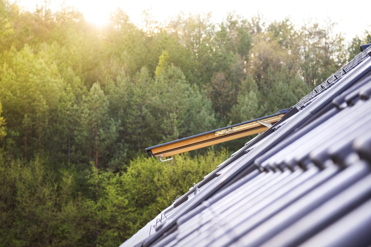 Open vented skylight with forest background