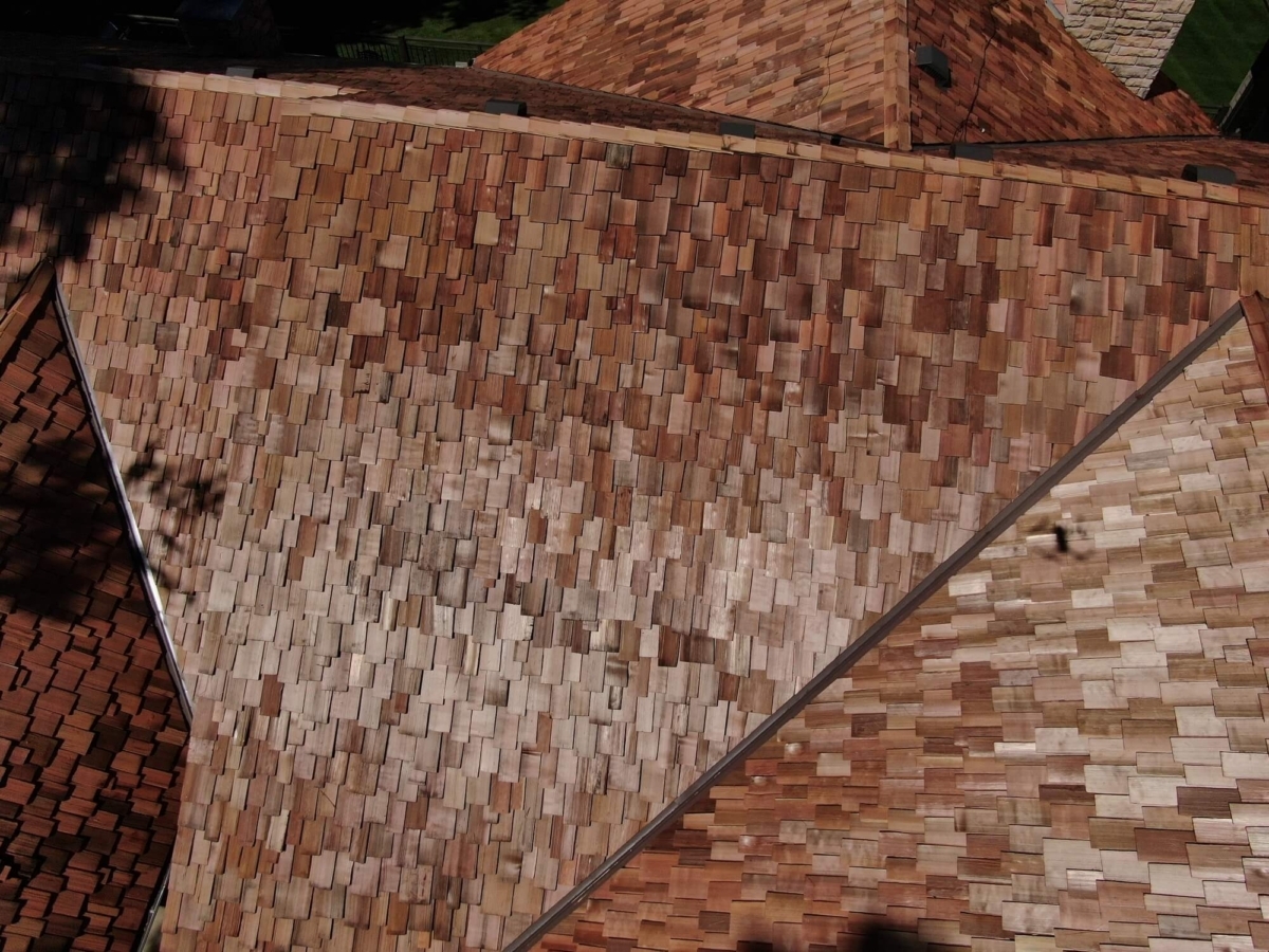 org_63534bbe88ab5662_1661994104000JPG