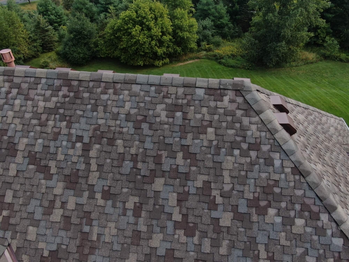 org_6a5041dd80ec36e3_1662843436000JPG